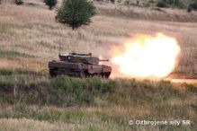 Historicky prv streby slovenskch Leopardov